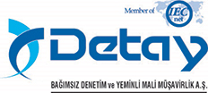 Detay Logo